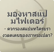 มองหาสแปมไฟเตอร์ - ตัวกรองสแปมที่ได้รับรางวัลดีเด่นของเราหรือเปล่า?